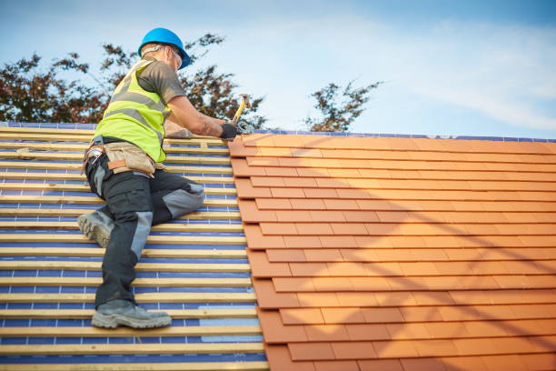Best Sheet Metal Roofing  in Imperial, MO